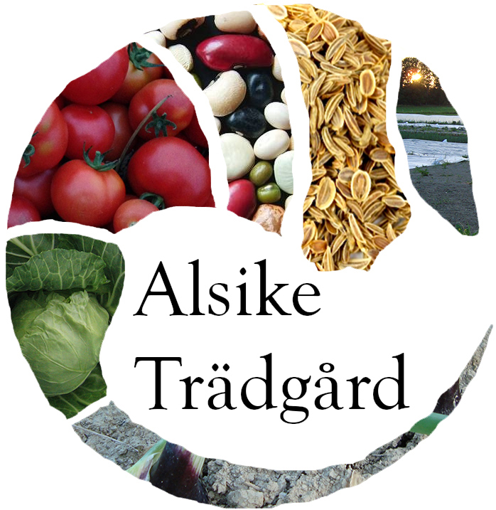 Alsike Trädgård